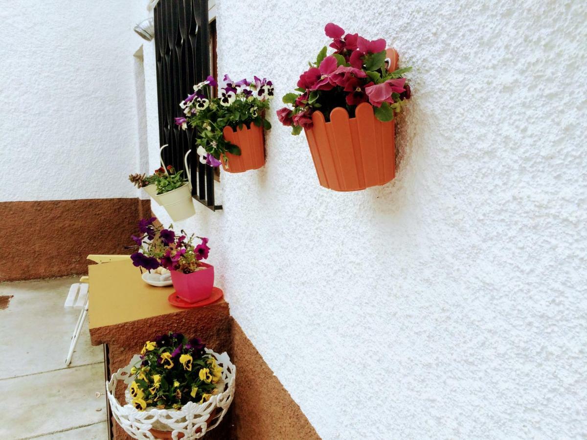 Casa De Ferias Mariceu Mirandela Villa Exterior photo